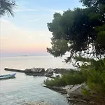 Melita أوروبيتش