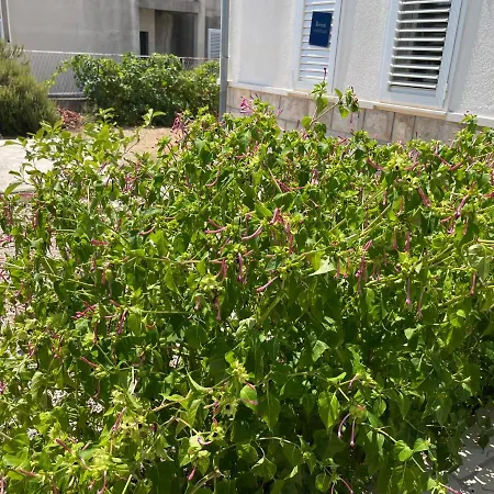 Melita Apartements *